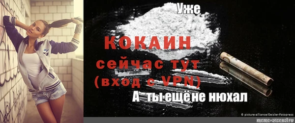 дживик Навашино