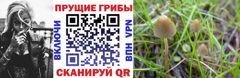 Псилоцибиновые грибы Magic Shrooms Каргополь