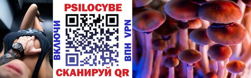Купить  Каргополь  Псилоцибиновые грибы мухоморы 